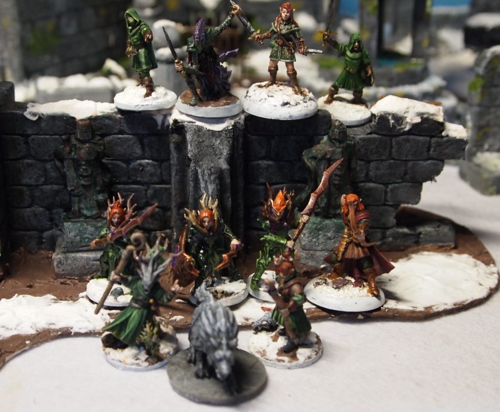 Miniatures - Frostgrave warband.