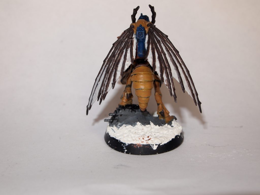 Back of Vespid Stingwing with base colours painted